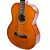 Violão Acústico Epiphone Pro-1 Classic Nylon - Imagem 1