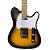 Guitarra Waldman GTE-100 Telecaster Sunburst - Imagem 1