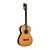 VIOLAO WASHBURN WP21SNS ACUSTICO PARLOR - Imagem 1