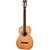 Violão WASHBURN WP11SNS Harvest  P11S - Imagem 2