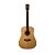 VIOLAO ACUSTICO WASHBURN WD10S - Imagem 1