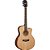 Violao Linha Confort - WCG15CE - WASHBURN - Imagem 1