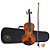 Violino Acústico Alan 1410 4/4 com Bag - Imagem 1