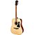 Kit Violão Acústico Ibanez V50NJP Pack Natural com Bag - Imagem 2