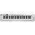 Teclado Portátil 61 Teclas Rhythmic 50WH Branco 110-220v - Imagem 2
