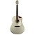 Violão Elétrico Seizi Akira Half Kaizen Cutaway Titanium - Imagem 1