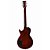 Guitarra Shelter S100FW Les Paul Honey Burst - Imagem 3