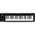 Teclado Controlador Korg MicroKey 2 37 MIDI USB 37 Teclas - Imagem 1