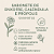 Sabonete de Enxofre com Calêndula e Própolis – Tratamento Natural Antiacne e Controle da Oleosidade - Imagem 6