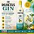 Gin invictus  Abacaxi C/ Hortelã - Imagem 1