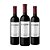 V. ARG NORTON PORTENO MALBEC 2023 - Imagem 1