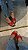 FLAT LONDON VERMELHO - Imagem 2