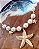 Choker Dourado com Pingente e Pérolas Concha, Coral ou Estrela do Mar - Imagem 1