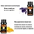 Kit 6 Óleos Essenciais 100% Puros Óleo Essencial Natural - Imagem 5
