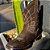 Bota Texana Franca Boots - Imagem 2