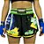 Shorts Muay Thai Innove Modelo Brazil Fight - Imagem 2