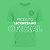 Camiseta Palmeiras 1914 Feminino Oficial Licenciada Betel - Imagem 13