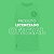 Regata Palmeiras 1914 Masculino Oficial Licenciada Betel - Imagem 6