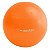 Bola Suíça Gym Premium 55 Cm - Com Bomba - Hidrolight - Imagem 1