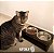 Suporte Comedor Pet Duplo Madeira Com 2 Potes Gato Cachorro - 1140 Stolf - Imagem 2
