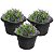 Kit 3 Vaso Redondo Pequeno Para Flores Plantas Jardim Plástico Preto - AMZ - Imagem 1