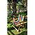 Kit 3 Cadeira De Madeira Dobrável Para Lazer Jardim Praia Piscina Camping Arco-íris - AMZ - Arco Íris - Imagem 2