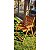 Cadeira De Madeira Ripada Dobrável Para Lazer Jardim Praia Piscina Camping - AMZ - Imagem 2
