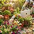 Regador de Plantas Para Jardinagem Bico Chuveiro 7 Litros Plástico Bege - 507 Sanremo - Imagem 2