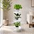 Suporte Aramado Branco para Vasos de Plantas 3 Bandejas Floreira - 102/6 Azzo - Imagem 2