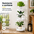 Suporte Aramado Branco para Vasos de Plantas 3 Bandejas Floreira - 102/6 Azzo - Imagem 6