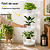 Suporte Aramado Branco para Vasos de Plantas 3 Bandejas Floreira - 102/6 Azzo - Imagem 5