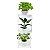 Suporte Aramado Branco para Vasos de Plantas 3 Bandejas Floreira - 102/6 Azzo - Imagem 1