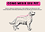 Vestido Pet Noiva/Ano Novo Laise Branco Luxo Gaby Moda Pet - Imagem 7