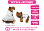 Vestido Pet Noiva/Ano Novo Laise Branco Luxo Gaby Moda Pet - Imagem 2