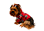 Roupa para Cachorro Cães Inverno Blusão Soft  Capuz Personagem - Imagem 1