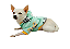 Roupa para Cachorro Cães Inverno Blusão Soft  Capuz Pandinha - Imagem 1