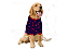 Roupa Suéter para Cachorro Plush Coração Vermelho Azul Marinho Tal Filho (a) - Imagem 1