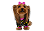 Roupa Suéter para Cachorro Plush Céu Estrelado - Imagem 1