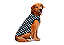 Roupa para Cachorro Cães Inverno Soft Xadrez Preto Tamanho Especial - Imagem 1