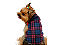 Roupa para Cachorro Cães Inverno Soft Xadrez Vermelho - Imagem 1