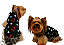 Capinha Ultrasoft Velcro Cachorro Estrelinha  Gaby Moda Pet - Imagem 1