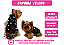 Capinha Ultrasoft Velcro Cachorro Estrelinha  Gaby Moda Pet - Imagem 2