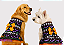 VESTIDO PARA CACHORRO PET HALLOWEEN + BRINDE LACINHO PENTEADO - Imagem 1