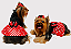 Vestido Fantasia Pet Minie Gaby Moda Pet - Imagem 1