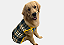 Roupa para Cachorro Cães Inverno Soft Verde Gaby Moda Pet - Imagem 2