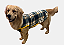 Roupa para Cachorro Cães Inverno Soft Verde Gaby Moda Pet - Imagem 1