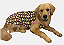 Roupa para Cachorro Cães Inverno Soft Colors Rosa Gaby Moda Pet - Imagem 2