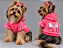 Blusão Moletom com Capuz para Cachorro Personagem Rosa Gaby Moda Pet - Imagem 1