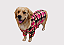 Blusão Soft com Capuz para Cães  Rosa Gaby Moda Pet - Imagem 1