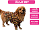 Blusão Soft com Capuz para Cães Colors Gaby Moda Pet - Imagem 2